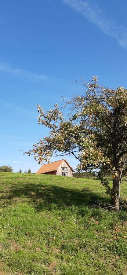 Boerderaaj Vakantiewoning Bilzen Extérieur photo